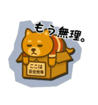 ラグビー大好き柴犬コタロウのスタンプ3（個別スタンプ：3）