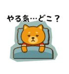 ラグビー大好き柴犬コタロウのスタンプ3（個別スタンプ：38）