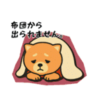 ラグビー大好き柴犬コタロウのスタンプ3（個別スタンプ：39）