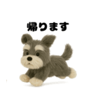 ふわふわミニチュアシュナウザー（個別スタンプ：4）