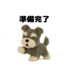 ふわふわミニチュアシュナウザー（個別スタンプ：5）