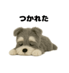 ふわふわミニチュアシュナウザー（個別スタンプ：8）