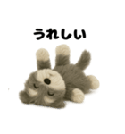 ふわふわミニチュアシュナウザー（個別スタンプ：12）