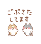 柴犬の毎日使えるでか文字敬語（個別スタンプ：17）
