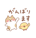 柴犬の毎日使えるでか文字敬語（個別スタンプ：25）