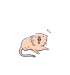 ほっこりハダカデバネズミ（個別スタンプ：1）