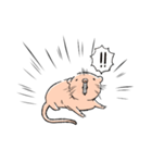 ほっこりハダカデバネズミ（個別スタンプ：7）