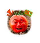 感謝のかおやさいLINEスタンプ（個別スタンプ：5）
