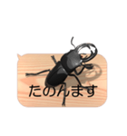スマホの上のオオクワガタ3《関西弁》（個別スタンプ：1）