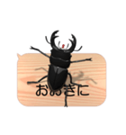 スマホの上のオオクワガタ3《関西弁》（個別スタンプ：3）