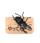 スマホの上のオオクワガタ3《関西弁》（個別スタンプ：17）