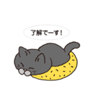 ネコだから「毎日送りやすい」スタンプ（個別スタンプ：3）