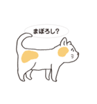ネコだから「毎日送りやすい」スタンプ（個別スタンプ：4）