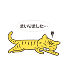 ネコだから「毎日送りやすい」スタンプ（個別スタンプ：7）
