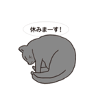ネコだから「毎日送りやすい」スタンプ（個別スタンプ：12）