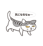 ネコだから「毎日送りやすい」スタンプ（個別スタンプ：17）