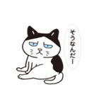 ネコだから「毎日送りやすい」スタンプ（個別スタンプ：19）