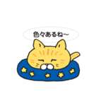 ネコだから「毎日送りやすい」スタンプ（個別スタンプ：21）