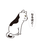 ネコだから「毎日送りやすい」スタンプ（個別スタンプ：25）