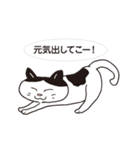 ネコだから「毎日送りやすい」スタンプ（個別スタンプ：26）