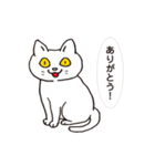 ネコだから「毎日送りやすい」スタンプ（個別スタンプ：33）