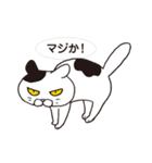 ネコだから「毎日送りやすい」スタンプ（個別スタンプ：38）