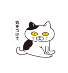 ネコだから「毎日送りやすい」スタンプ（個別スタンプ：40）