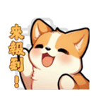 愛らしいコーギーの日常 3（個別スタンプ：17）