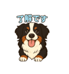 バーニーズ ポルちゃん 日常会話（個別スタンプ：6）