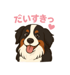 バーニーズ ポルちゃん 日常会話（個別スタンプ：25）