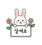 キュートなウサギの取引フレーズ 01 (KR)（個別スタンプ：1）