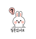 キュートなウサギの取引会話 01 (KR)（個別スタンプ：1）