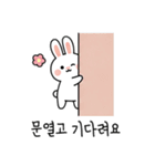 キュートなウサギの取引会話 01 (KR)（個別スタンプ：11）