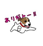 ハート柄のジャックラッセルテリア2（個別スタンプ：4）