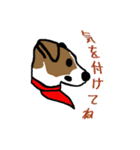 ハート柄のジャックラッセルテリア2（個別スタンプ：9）