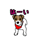ハート柄のジャックラッセルテリア2（個別スタンプ：18）