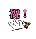 ハート柄のジャックラッセルテリア2（個別スタンプ：24）