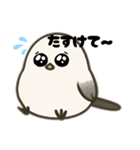 シマエナガのスタンプだぞー（個別スタンプ：12）