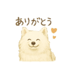 サモエド犬で感情と日常使い（個別スタンプ：1）