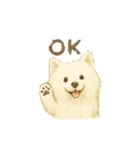 サモエド犬で感情と日常使い（個別スタンプ：2）