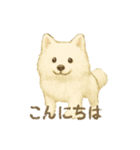 サモエド犬で感情と日常使い（個別スタンプ：3）
