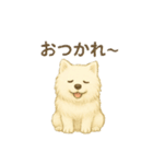 サモエド犬で感情と日常使い（個別スタンプ：5）