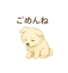 サモエド犬で感情と日常使い（個別スタンプ：7）
