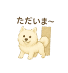 サモエド犬で感情と日常使い（個別スタンプ：8）