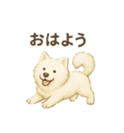 サモエド犬で感情と日常使い（個別スタンプ：9）