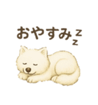 サモエド犬で感情と日常使い（個別スタンプ：10）
