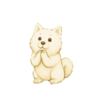 サモエド犬で感情と日常使い（個別スタンプ：11）