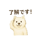 サモエド犬で感情と日常使い（個別スタンプ：12）