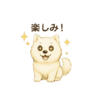 サモエド犬で感情と日常使い（個別スタンプ：13）