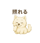 サモエド犬で感情と日常使い（個別スタンプ：18）